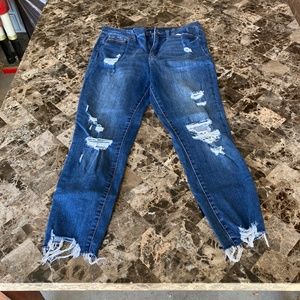 Aero High Wasted  Cropped Jegging